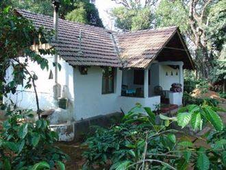 Golden Mist Plantation and Resort, Coorg 1